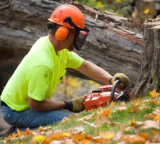 tree services Nicholson